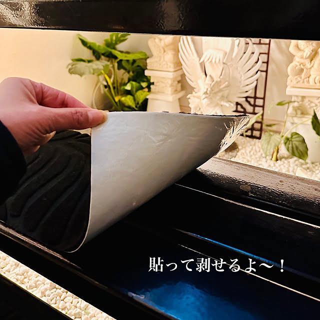 yukikoさんの部屋