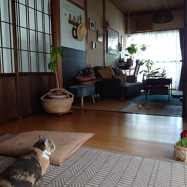 fukuさんの実例写真