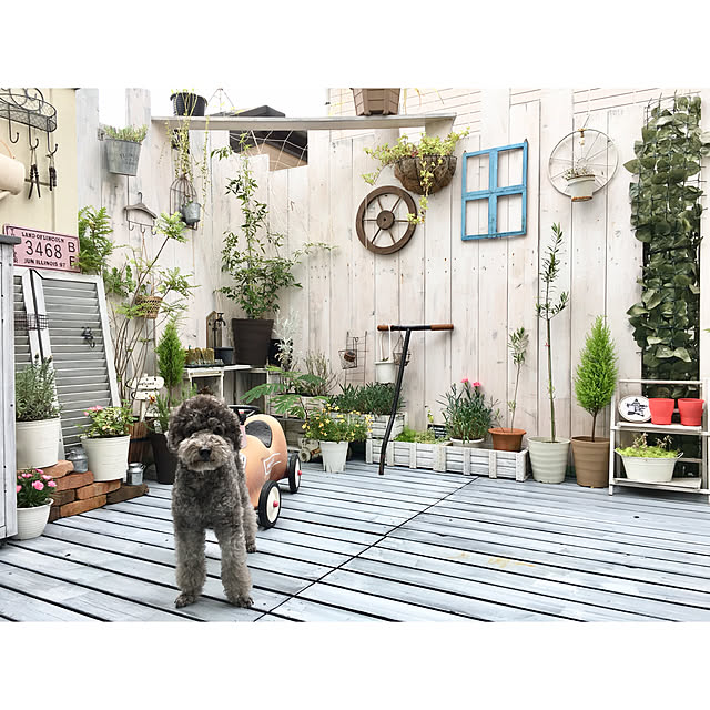 makoriさんの実例写真