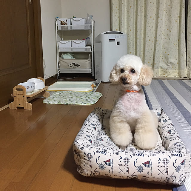 Junran50さんの実例写真