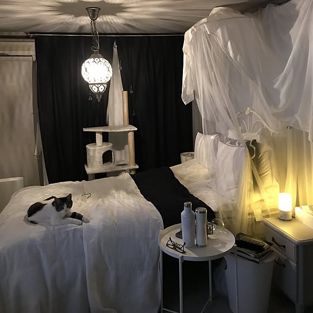 Shihoさんの実例写真
