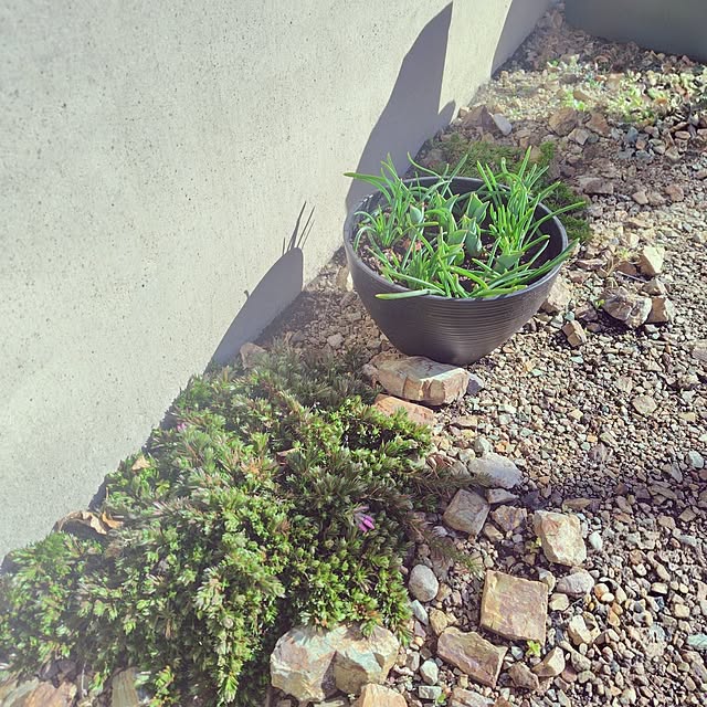 Ryokoさんの実例写真