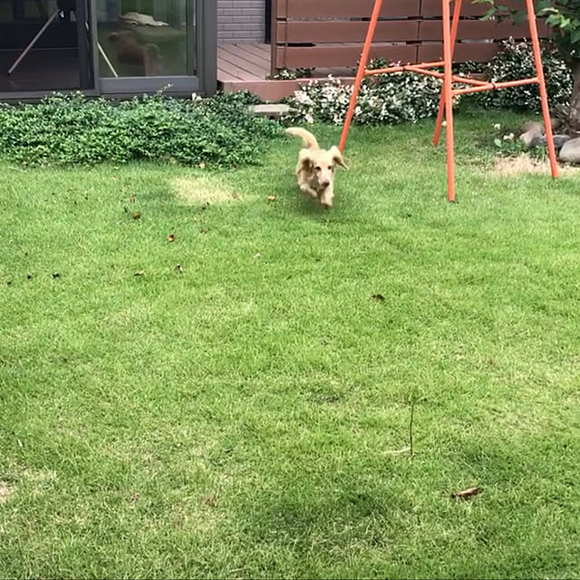 ronronさんの実例写真