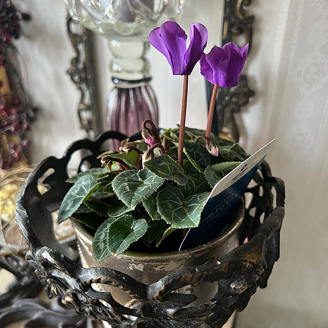 AYUKOさんの部屋