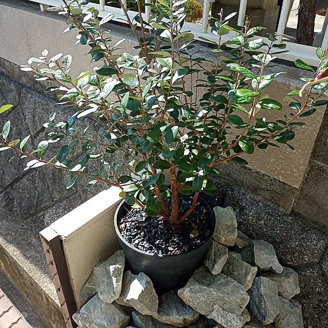 brooklynさんの部屋