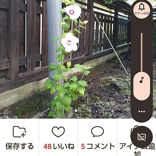 kuririnmamaさんの部屋