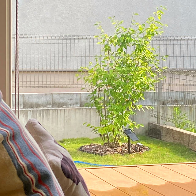 mikigumaさんの実例写真