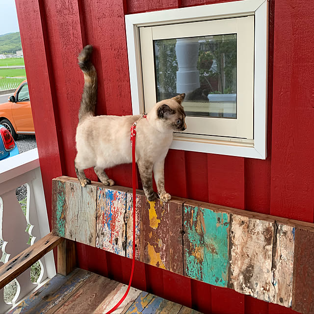 miyaさんの実例写真