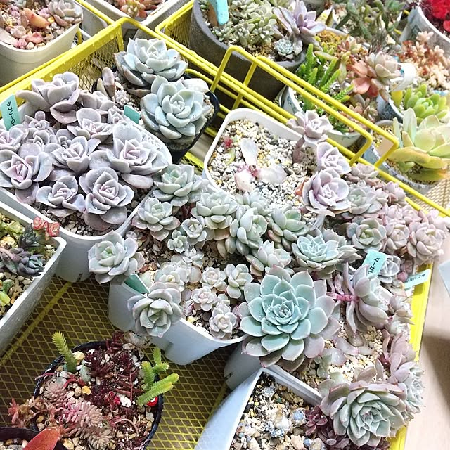 meiさんの部屋