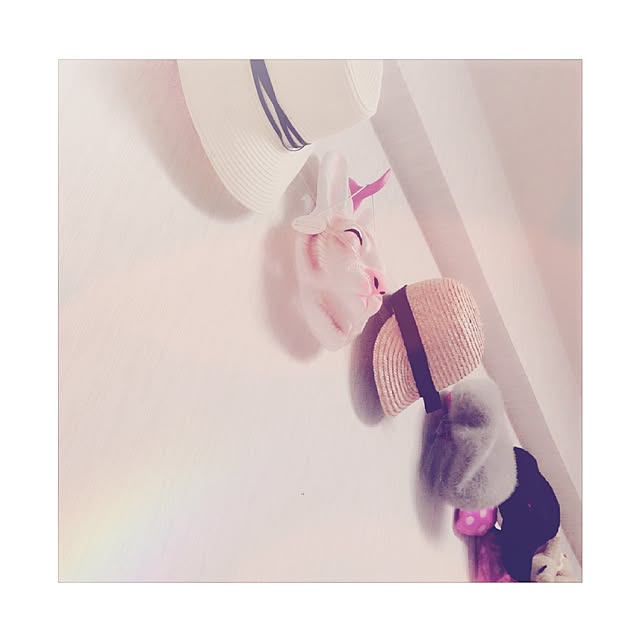 Rabbit_houseさんの実例写真