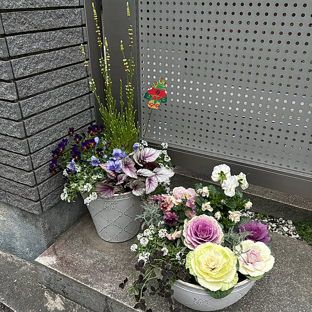 maayaさんの部屋
