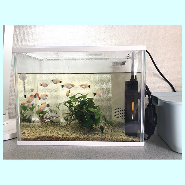 kaeさんの実例写真