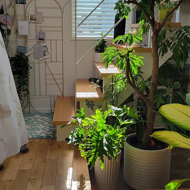 nonbiri_house_さんの実例写真