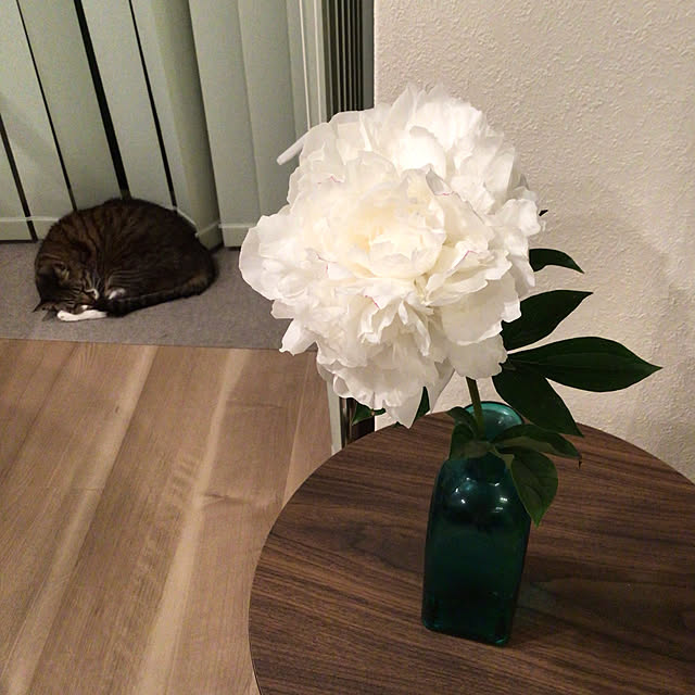 houenさんの実例写真
