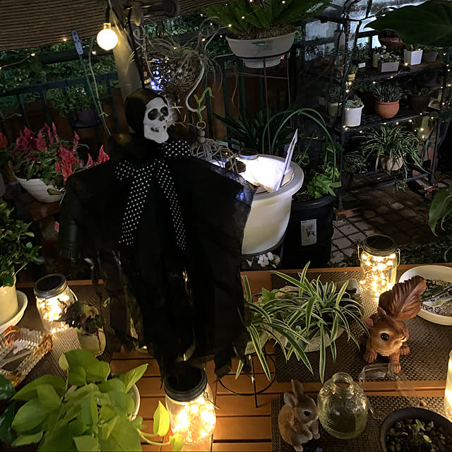Aqettyさんの実例写真