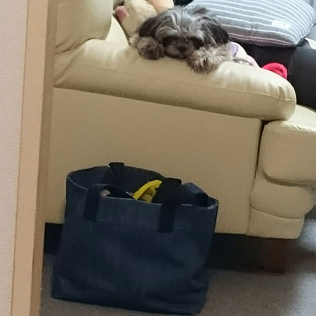 mariさんの実例写真