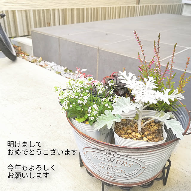 Shinohazuさんの実例写真