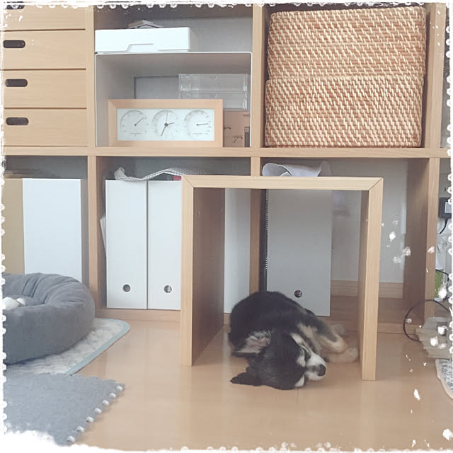 Emiさんの実例写真