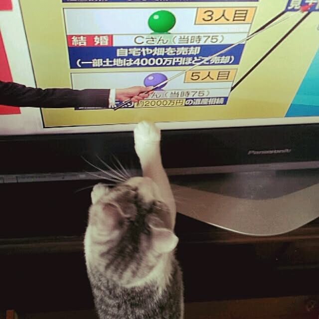 emmyyさんの実例写真