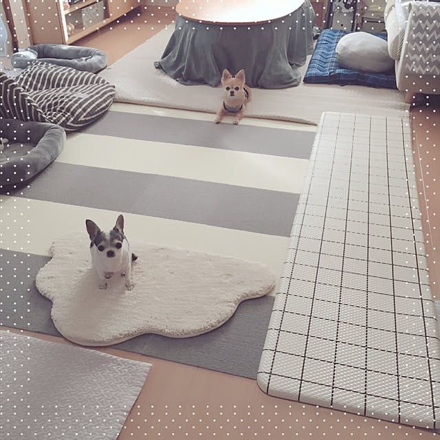 Emiさんの実例写真