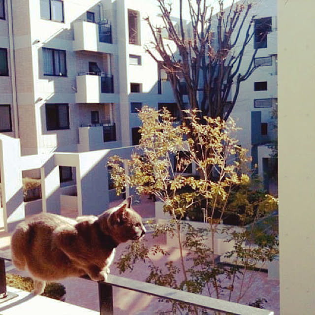 kayokos0801さんの実例写真