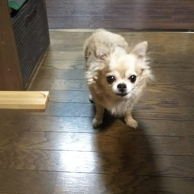 kiraさんの実例写真