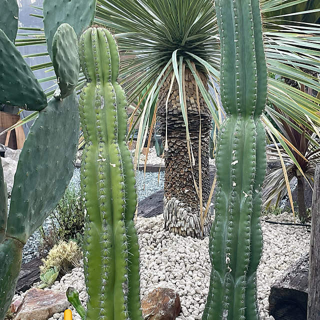 Reikoさんの部屋