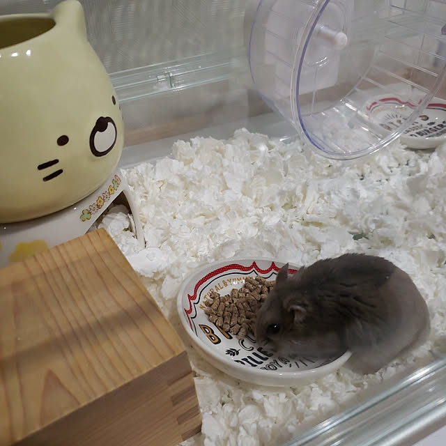 BAZさんの実例写真