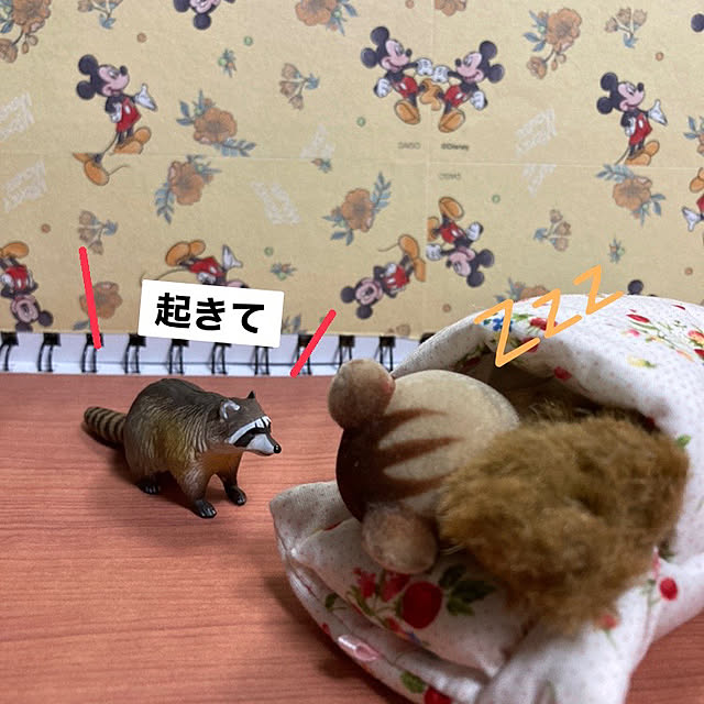 manduonmaさんの実例写真