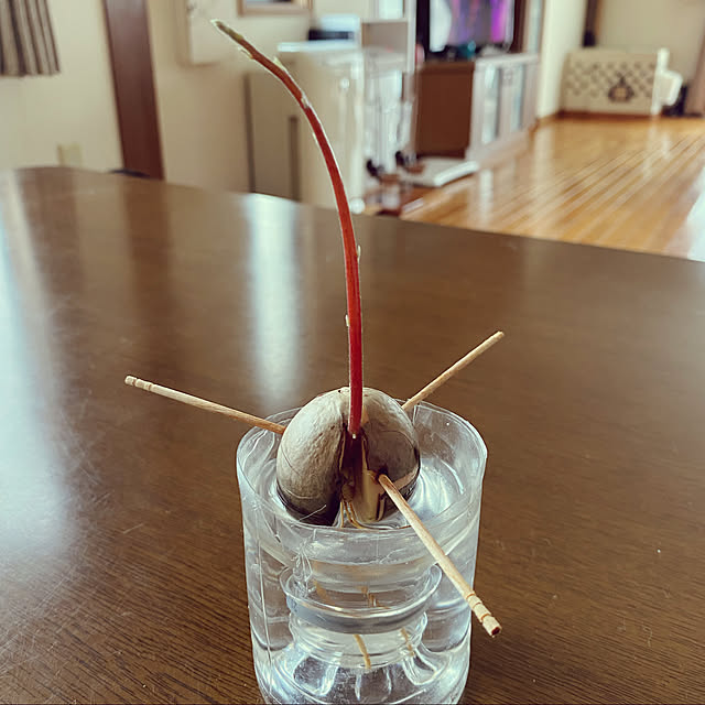 Mugiさんの実例写真