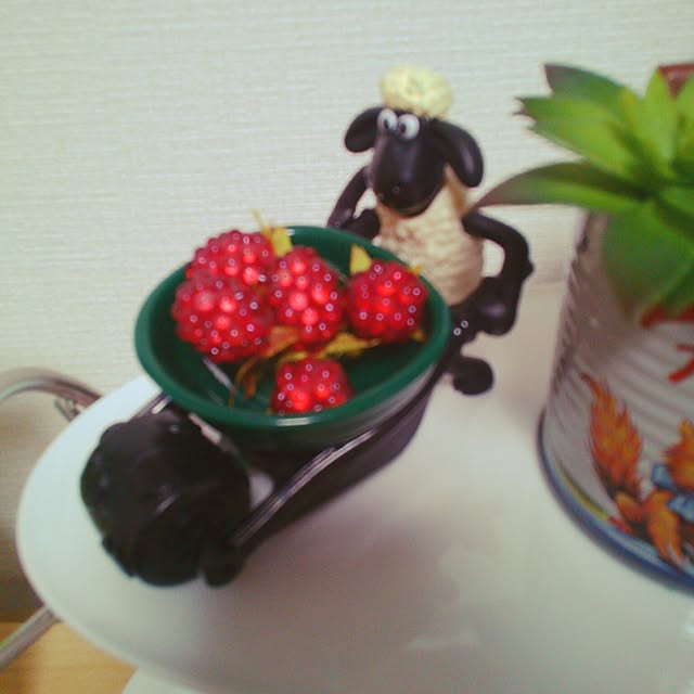 minさんの実例写真