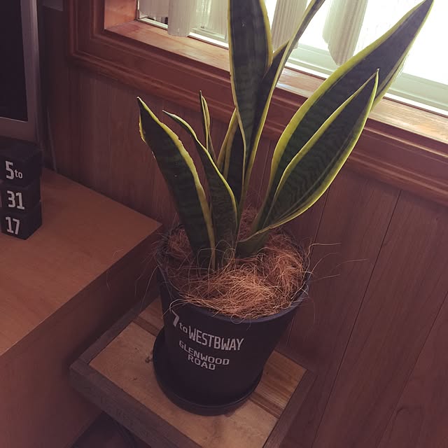 mocaさんの実例写真