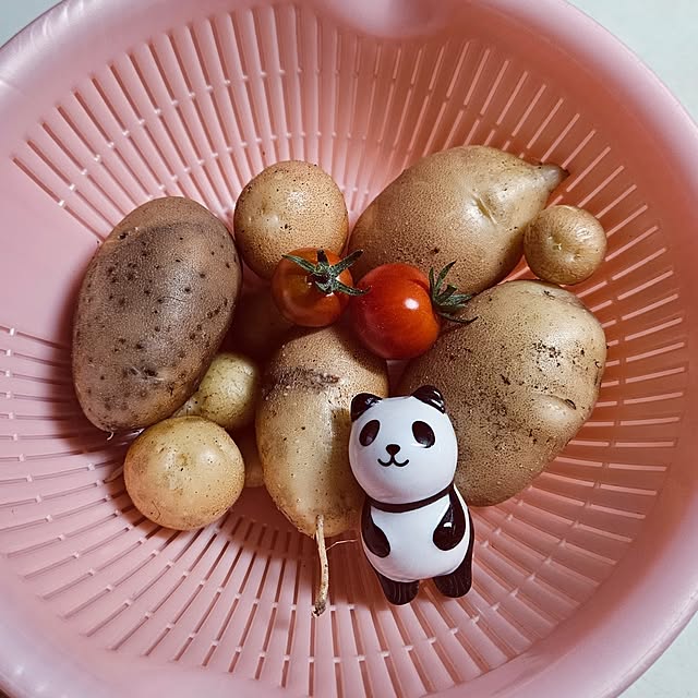 mocomocoさんの実例写真