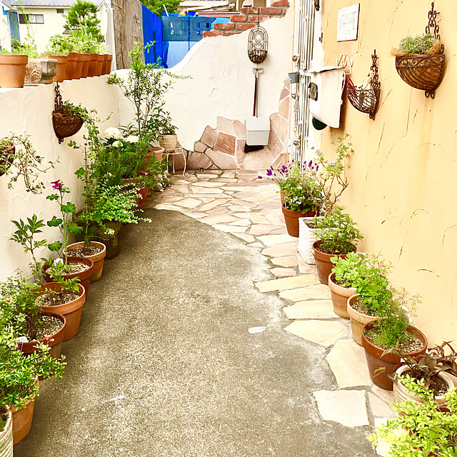 rosemaryさんの実例写真