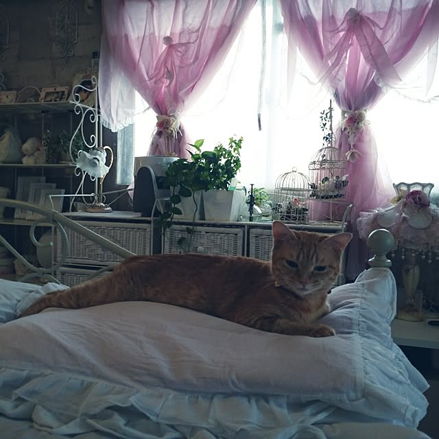 fu-ka24さんの実例写真