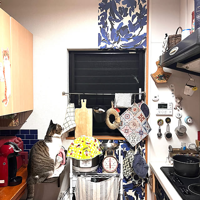 jijiさんの実例写真