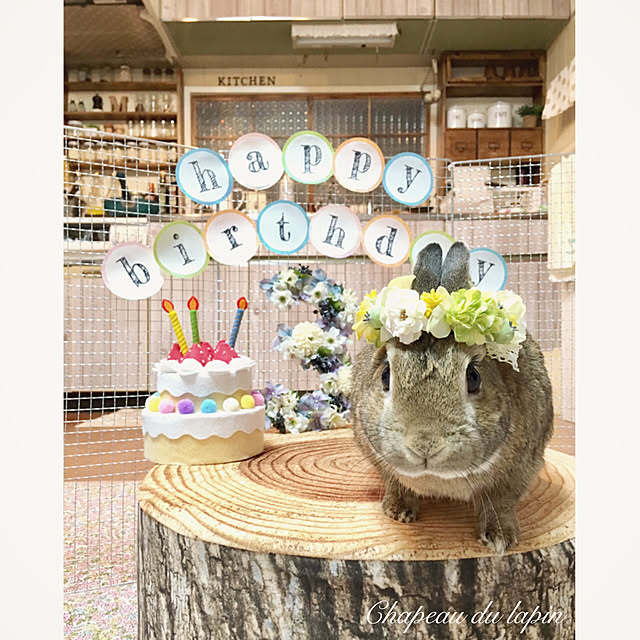 mashiさんの実例写真