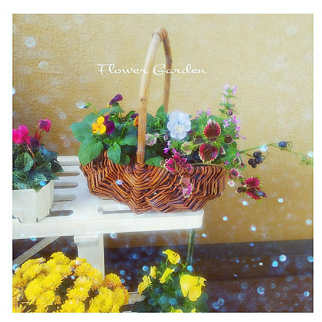 umiumiさんの実例写真