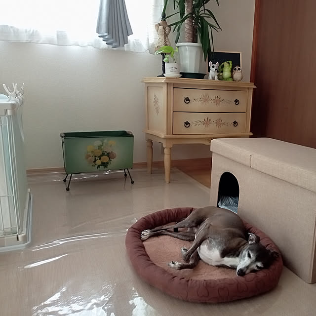 moruさんの実例写真