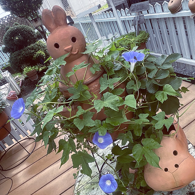Ohigeさんの実例写真