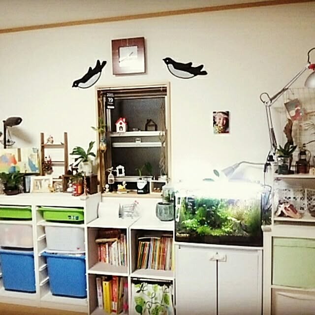 tsubasa417さんの実例写真
