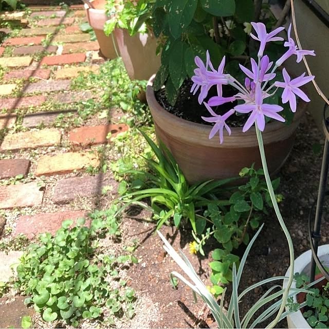 mori_6_12さんの実例写真