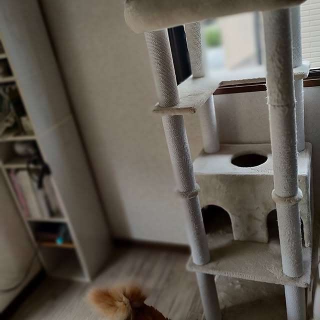 mori_6_12さんの実例写真