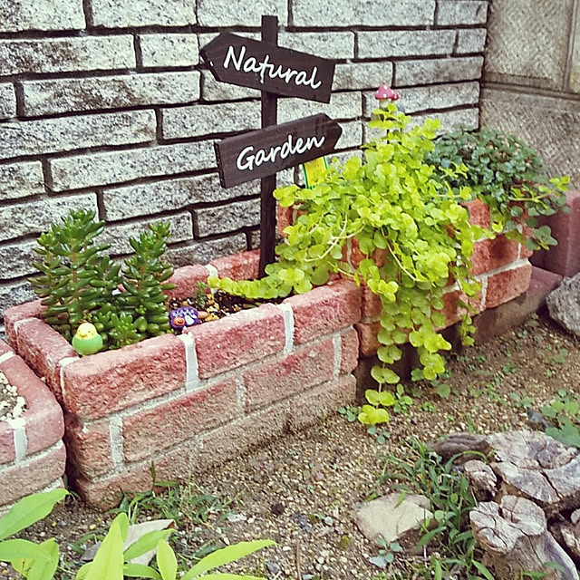 25Moondropsさんの実例写真