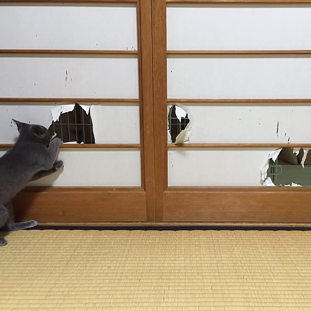 KAZさんの実例写真