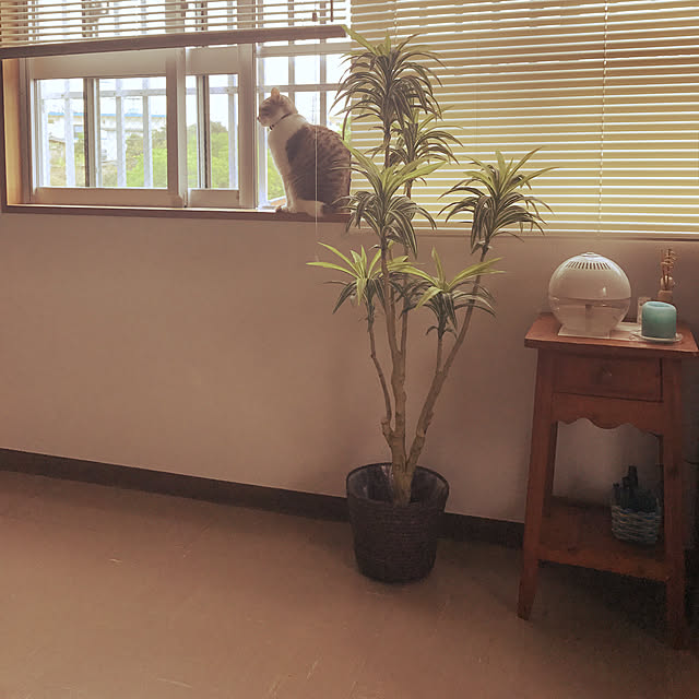 ayaさんの実例写真