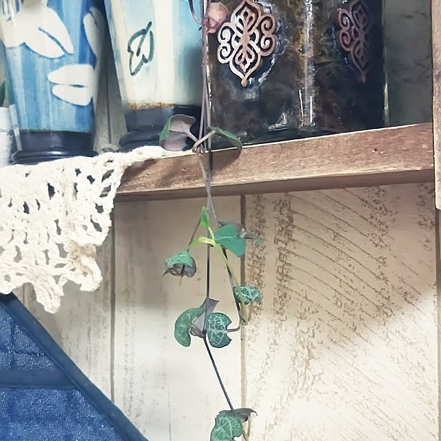 naopyiさんの実例写真