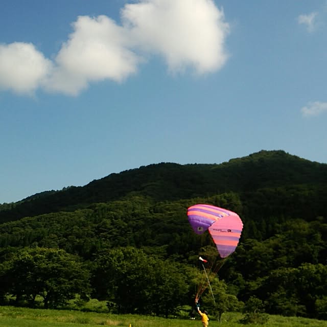 実例写真