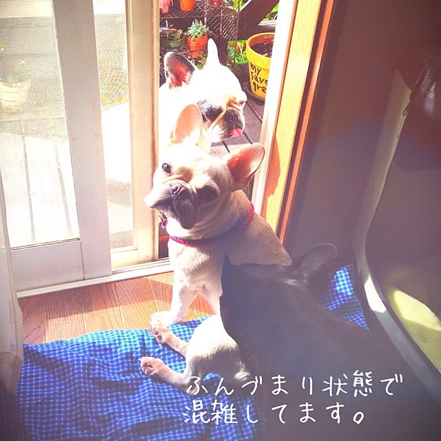 38coreさんの実例写真