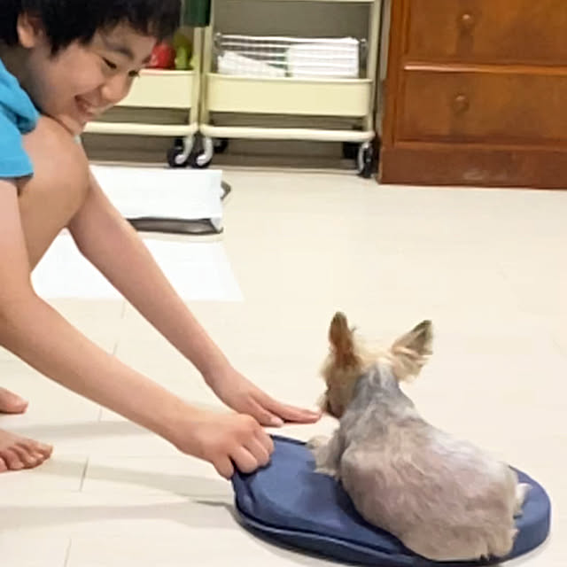 ohanaさんの実例写真